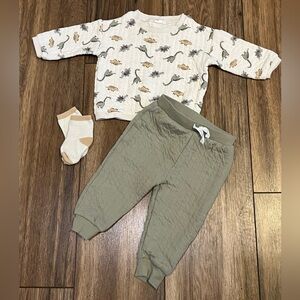 PL Baby Neutral Dinosaur Print Top & Quilted Sage Joggers Set, Size 12 Months